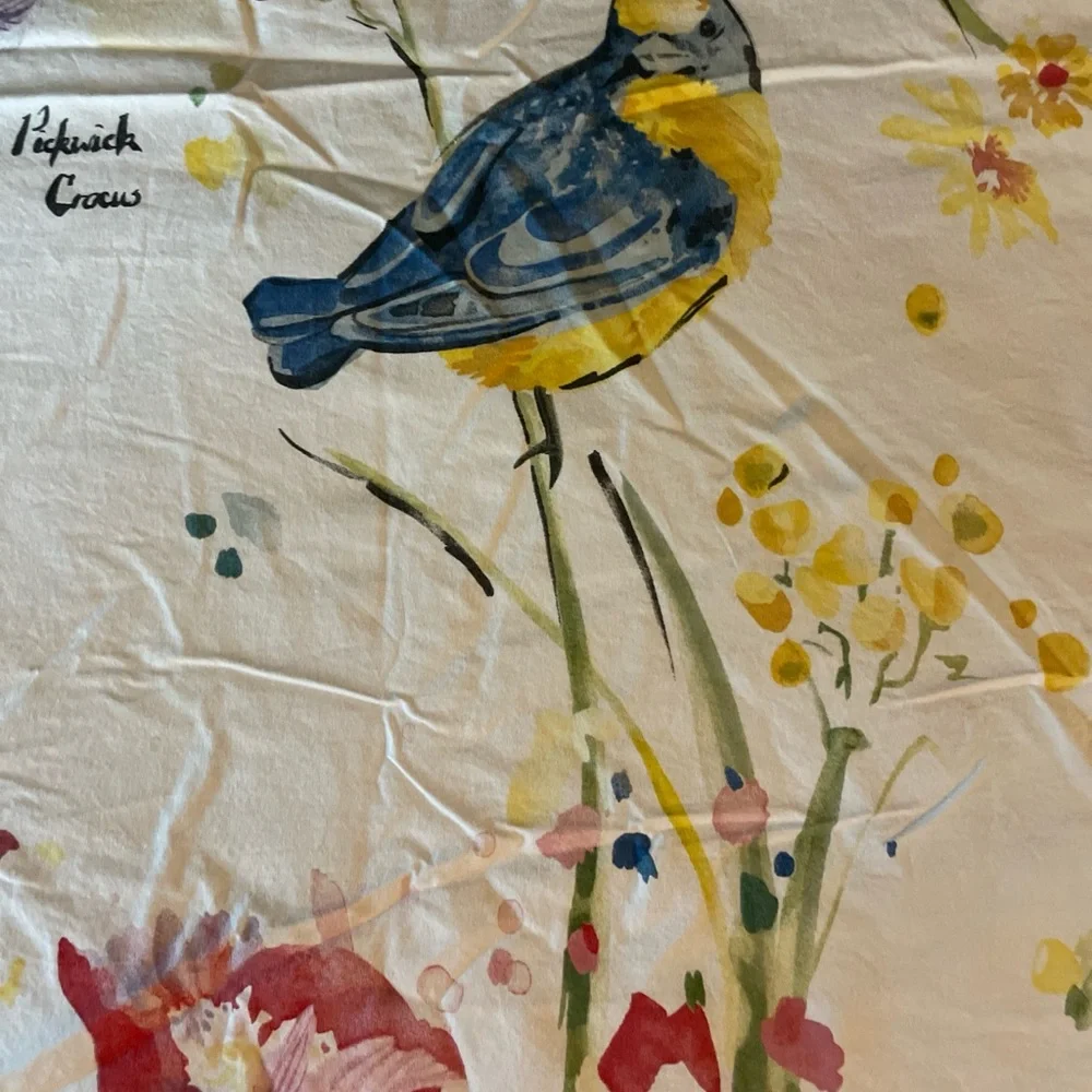 Pottery Barn Painterly Bird Duvet Cover full/queen